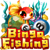 Câu Cá Bingo F1668